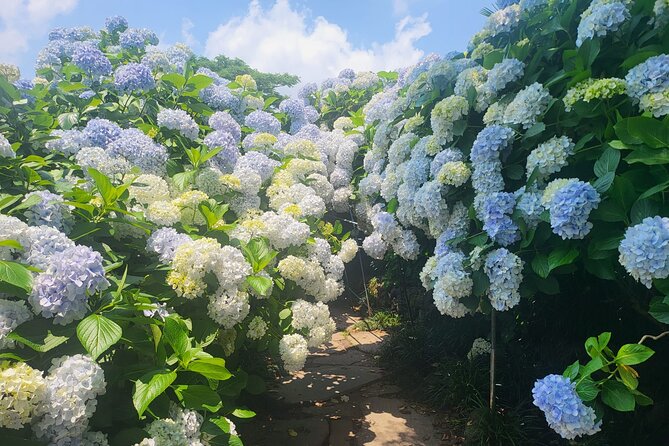 Customized private tour in Jeju island - What Your Driver Can Add to the Day