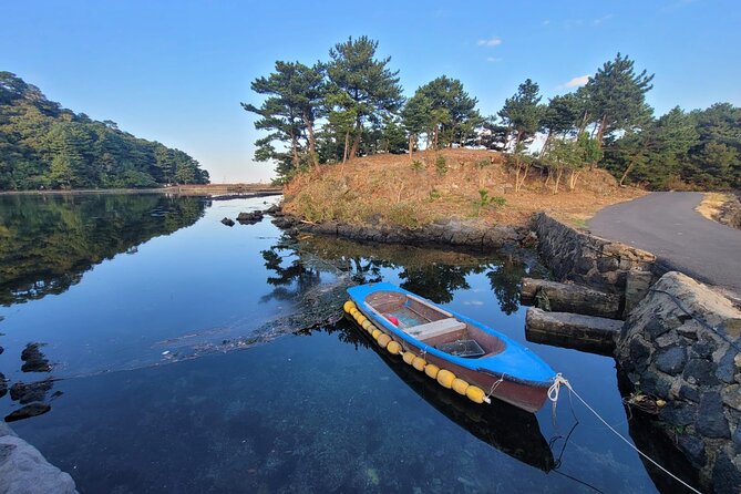 Customized private tour in Jeju island - Western Jeju: Coastal Roads, Hyeopjae, and Osulloc Tea