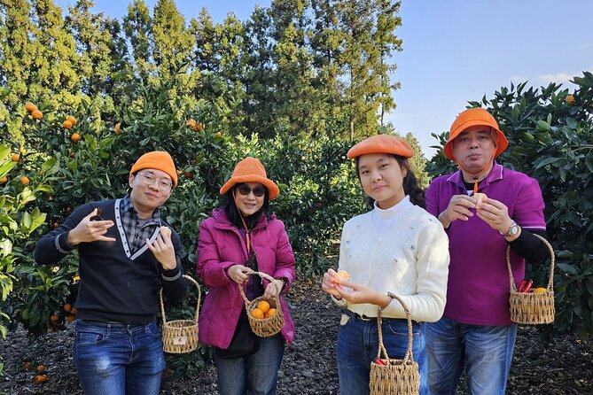 Customized private tour in Jeju island - What the $175 Price Really Buys