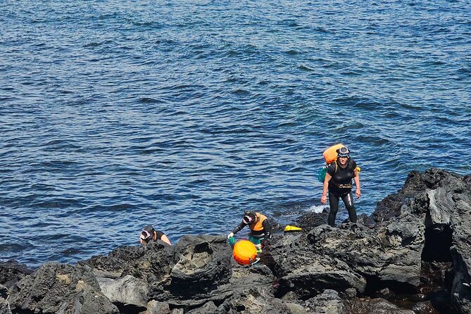 Customized private tour in Jeju island - Booking, Changes, and Final Advice