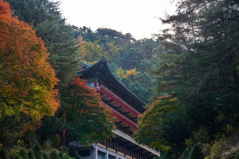 Danyang Tour:Guinsa Temple & Bobaljae & Cheongpung Cable Car - Why this Danyang day trip is worth your time