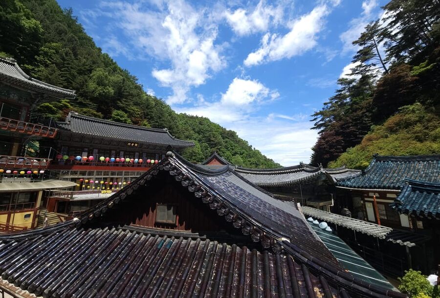 Danyang Tour:Guinsa Temple & Bobaljae & Cheongpung Cable Car - Guides, group size, and the bus ride