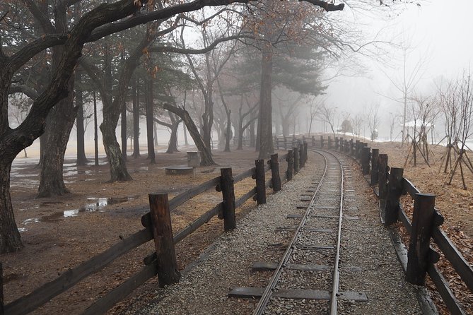Day Tour to Gangchon Rail Bike Nami Island and Petite France - Is $169.24 a fair price?