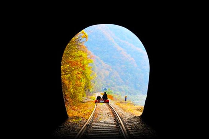 Day Tour to Gangchon Rail Bike Nami Island and Petite France - Should you book this Gapyeong day tour?