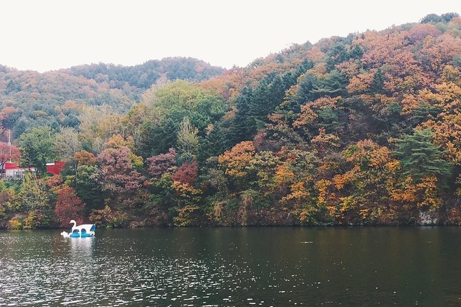 Day Tour to Gangchon Rail Bike Nami Island and Petite France - Petite France in one hour