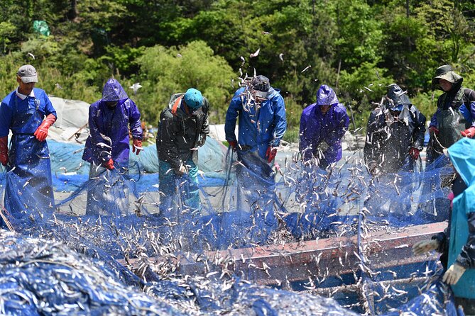 Day trip to beautiful Korean marine national park, Hallyeohaesang - Why Hallyeohaesang makes a fine break from Busan
