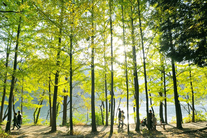 Day Trip to Nami Island with Rail bike and The Garden of Morning Calm - Should you book it?