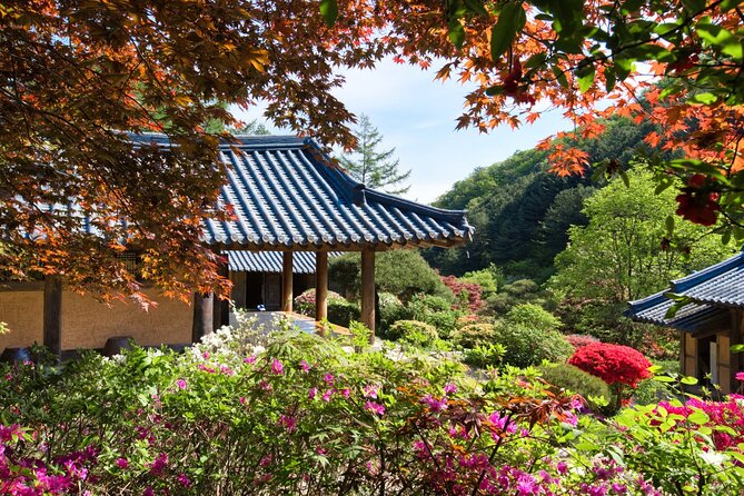 Day Trip to Nami Island with The Garden of Morning Calm - Four hours among Nami Island’s tree-lined roads