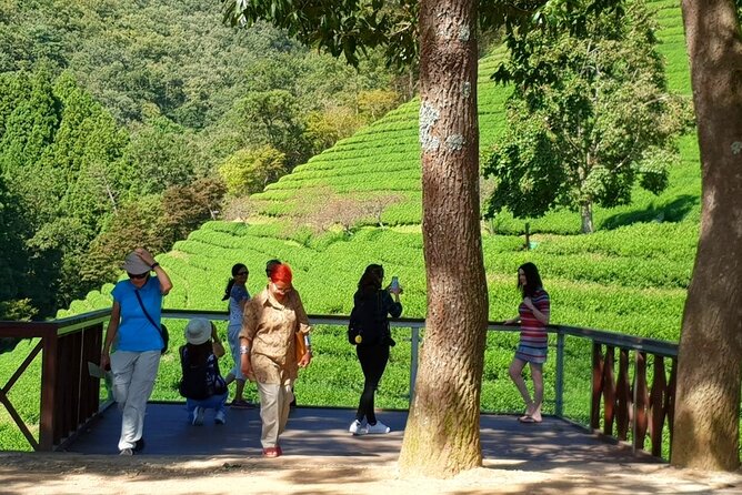 Discover Western Korea in 4days: All-Inclusive Experience - Meals and hotels: where the $1,200 price earns its keep