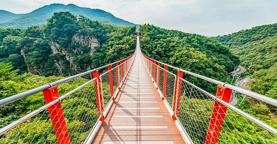 DMZ Insider Tour: 3rd Tunnel, NK Defector Meet & Red Bridge - Why the defector meeting changes the day