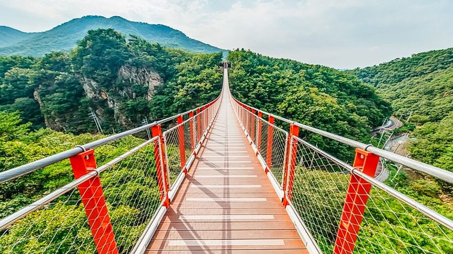 DMZ Insider Tour: 3rd Tunnel, NK Defector Meet & Red Bridge - What the $50 price buys you