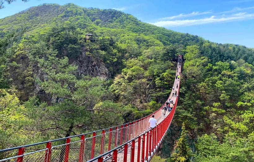 DMZ; NK Defector, 3rd Tunnel, Suspension Bridge,Hotel pickup - Key points to know before booking