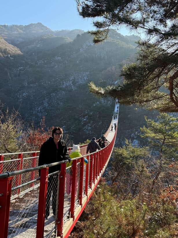 DMZ; NK Defector, 3rd Tunnel, Suspension Bridge,Hotel pickup - Transport, guides, and the pace of the day