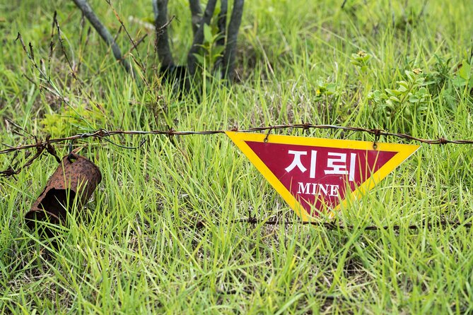 DMZ One Day Tour in Gyeonggi-do with English or Spanish - What the $250 price includes