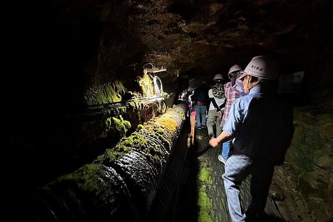 DMZ Tour: 2nd Tunnel with Y-shaped suspension bridge from Seoul - Is $95 a fair price?