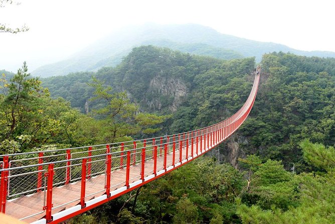 DMZ Tour: 3rd Tunnel, Option(Suspension Bridge, Boat) from Seoul - Choose your add-on: bridge, bridge, or boat