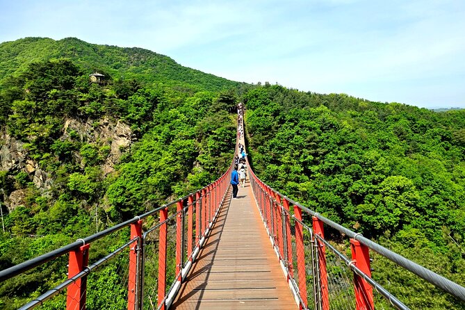 DMZ Tour from Seoul – Optional Suspension Bridge Experience - The Third Tunnel requires stamina and sturdy shoes