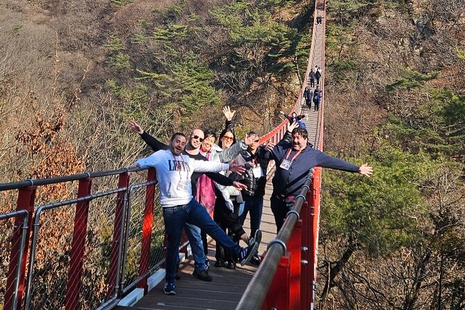 DMZ Tour from Seoul – Optional Suspension Bridge Experience - Dorasan Station is closed, but its story still matters