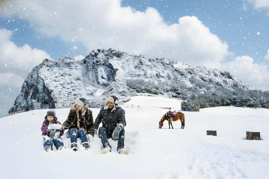 East Jeju: Day Tour with Seongsan Peak & Haenyeo Performance - Why this East Jeju day works for first-time visitors