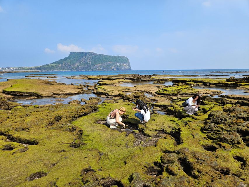 East Jeju: Day Tour with Seongsan Peak & Haenyeo Performance - Seongeup Folk Village, stone walls and local memory