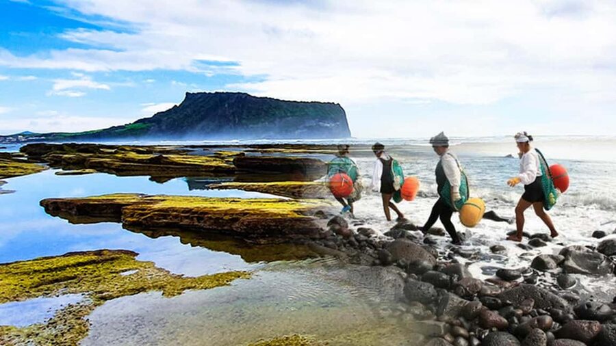 East Jeju: Day Tour with Seongsan Peak & Haenyeo Performance - The coast, seasonal scenery, and a flexible highlight stop