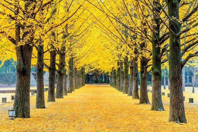 Easy private tour to Nami Island, Garden of Morning Calm - Leaving Seoul for Nami Island
