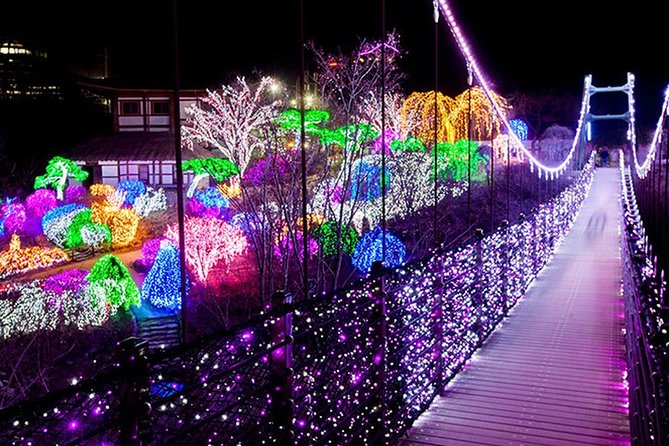 Easy private tour to Nami Island, Garden of Morning Calm - One hour at the Garden of Morning Calm