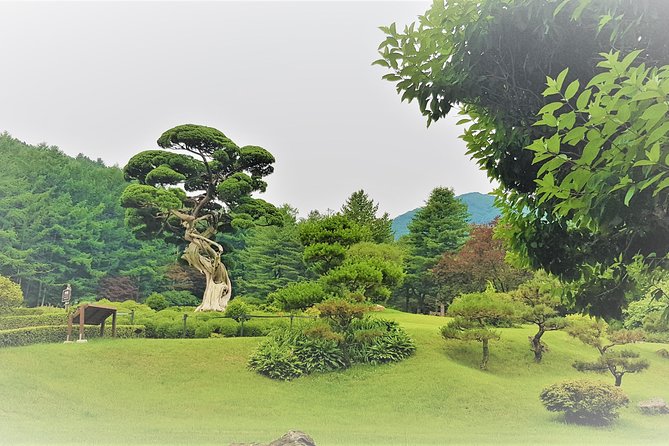 Easy private tour to Nami Island, Garden of Morning Calm - What private guiding really means here