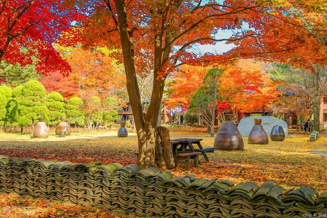 Easy private tour to Nami Island, Garden of Morning Calm - Timing, weather, and the seven to eight hour question