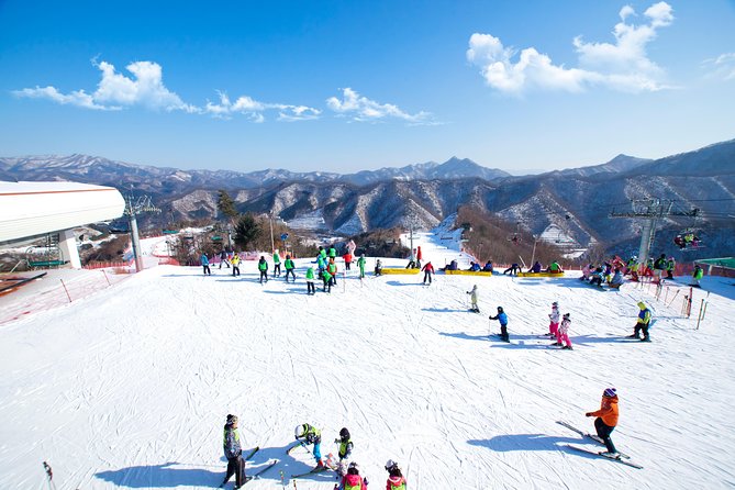 Elysian Gangchon Winter Ski with Nami Island Day Tour from Seoul - Key points to know before booking