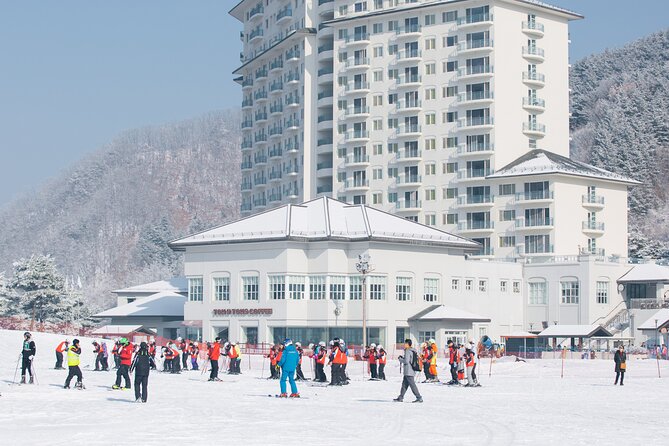 Elysian Gangchon Winter Ski with Nami Island Day Tour from Seoul - A practical look at the $33.33 price