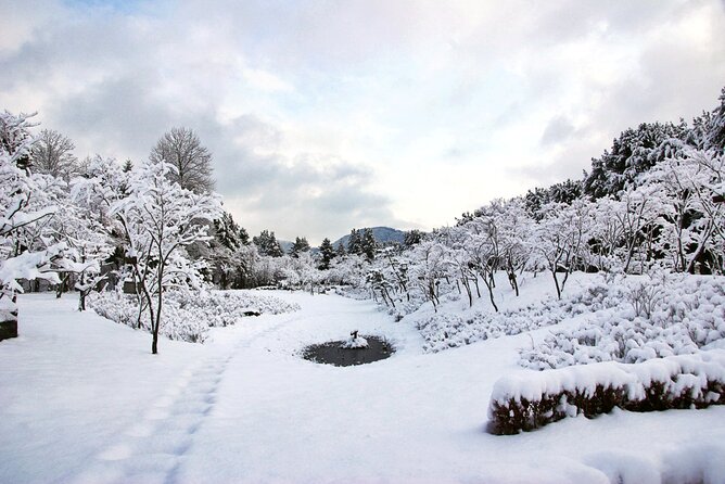 Elysian Gangchon Winter Ski with Nami Island Day Tour from Seoul - Nami Island: three and a half hours among the trees