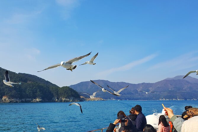 Enchanting Oedo Island Day Tour from Busan with Windy Hill - The Geoje Panorama Cable Car delivers the widest views