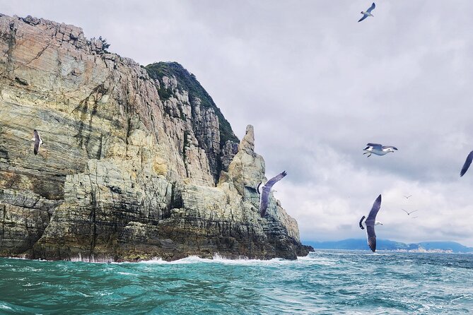 Enchanting Oedo Island Day Tour from Busan with Windy Hill - Who should book this Geoje day trip?