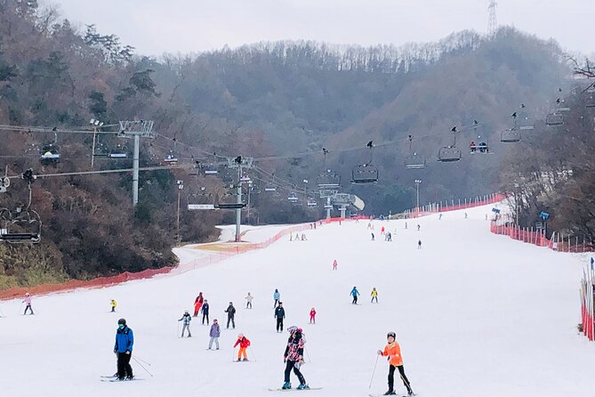 Eobi Ice Valley / Elysian Ski Resort / Nami Island - Three winter stops in one long day
