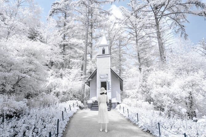 Eobi Ice Valley, Nami Island, Morning Calm and Rail Bike Seoul - Key points at a glance