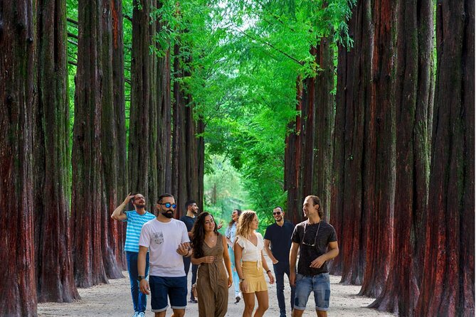 Eobi Ice Valley& Nami Island with Garden of Morning Calm Trip - Why this Seoul day trip works