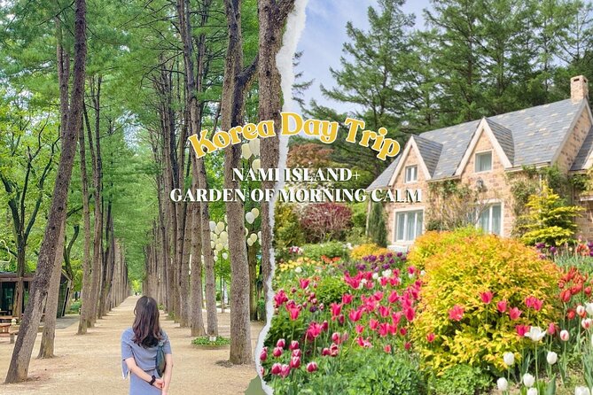 Eobi Ice Valley& Nami Island with Garden of Morning Calm Trip - Nami Island and the trees of Winter Sonata