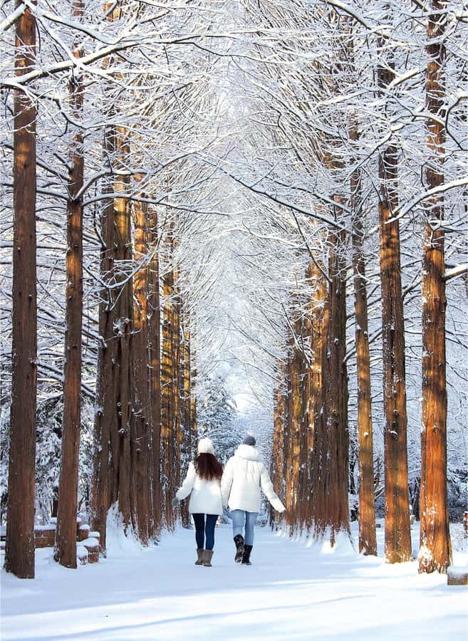 Eobi Ice Valley & Nami (+ Light Festival, Railbike, Alpaca) - Choosing the right evening add-on
