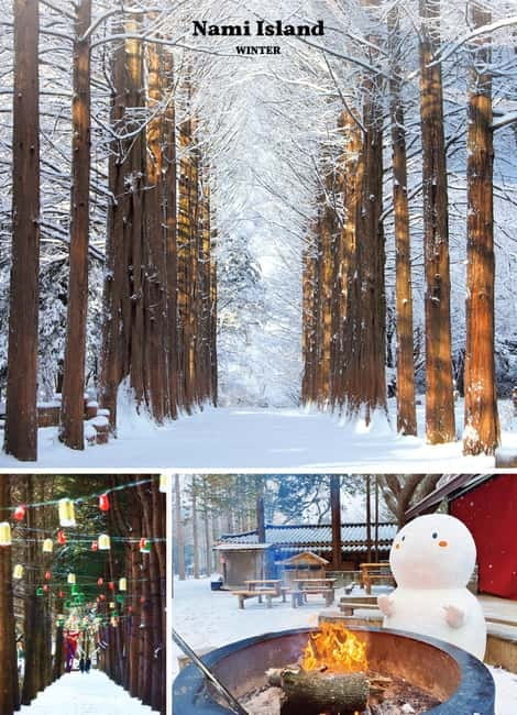 Eobi Ice Valley & Nami & Railbike & Petite & Morning Calm - Key points to know before booking