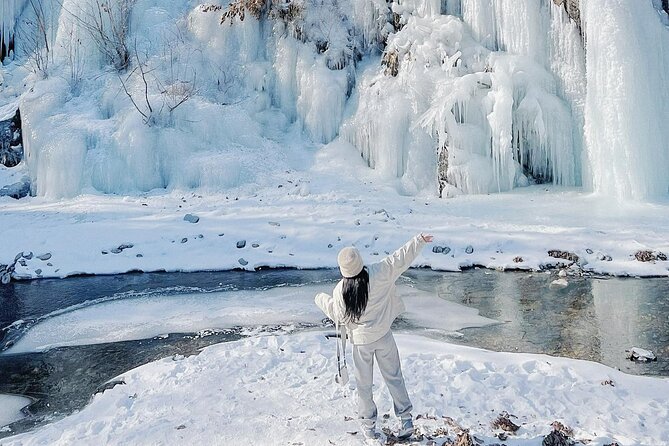 Eobi Ice Wall & Nami Island & Morning Calm Light Festival - A Long Winter Day From Central Seoul