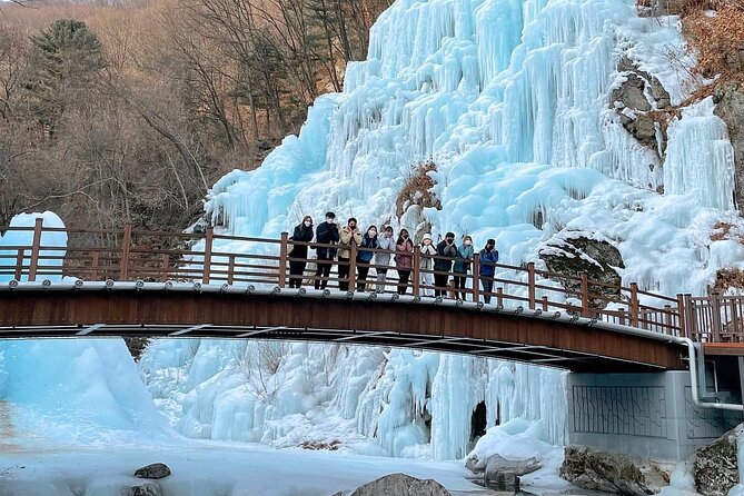 Eobi Ice Wall & Nami Island & Morning Calm Light Festival - Three Hours to Explore Nami Island