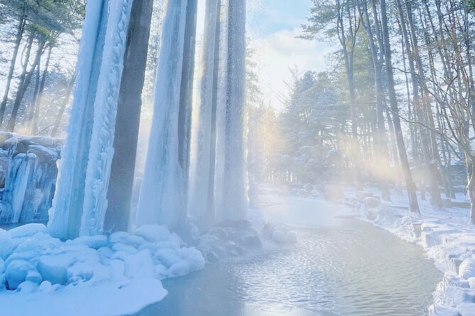 Eobi Ice Wall & Nami Island & Morning Calm Light Festival - How the $74.33 Price Works for You
