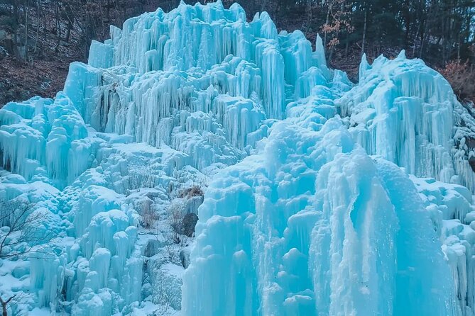 Eobi Ice Wall & Nami Island & Morning Calm Light Festival - Practical Tips for a Smoother Day