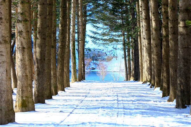 Eobi Ice Wall & Nami Island & Morning Calm Light Festival - Should You Book It?