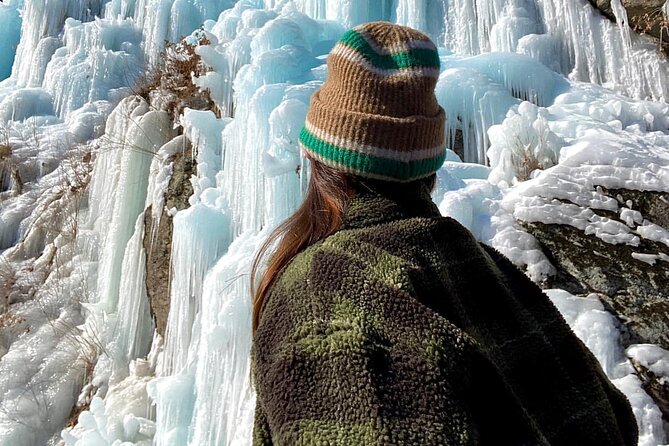 Eobi Ice Wall & Nami Island & Morning Calm Light Festival - The Garden of Morning Calm After Sunset