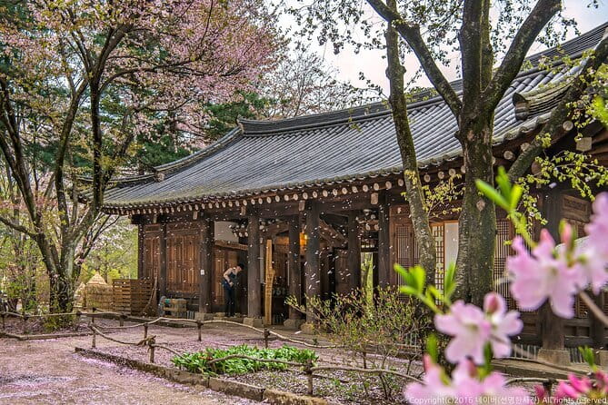 Eobi+Nami+Hanbok Tour with Rail Bike or Strawberry Option - Key points at a glance