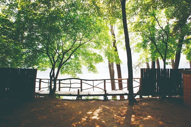 Eobi+Nami+Hanbok Tour with Rail Bike or Strawberry Option - Why this day trip works from Seoul