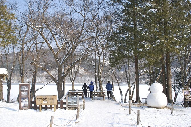 Eobi Valley(Winter), Strawberry, Nami Island & Railbike fr Seoul - What the $82.86 price really covers