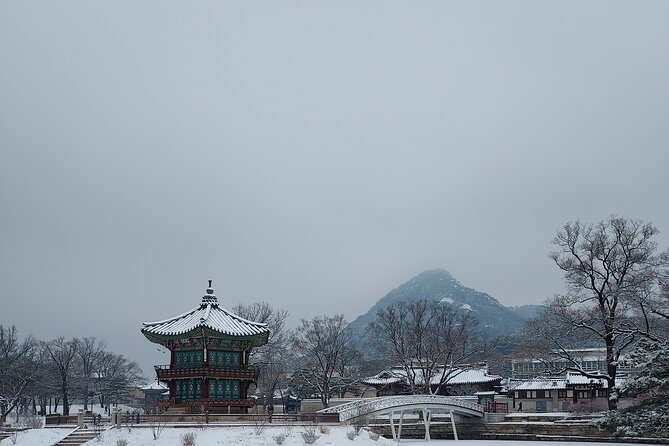 Essence of Seoul, 100% Private Full Day City Tour - Lunch and the practical value of a private guide
